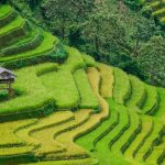 Viajar a Vietnam