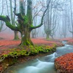 viajar a navarra